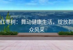 红枣树：舞动健康生活，绽放群众风采