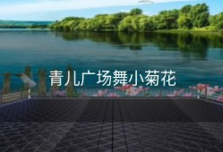 青儿广场舞小菊花