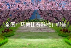 全国广场舞比赛器械有哪些
