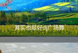 其实也挺好dj广场舞