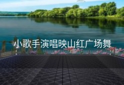 小歌手演唱映山红广场舞