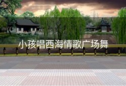小孩唱西海情歌广场舞