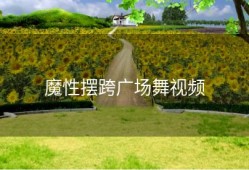 魔性摆跨广场舞视频