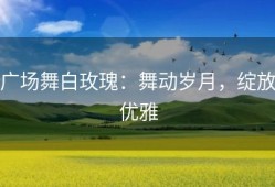 广场舞白玫瑰：舞动岁月，绽放优雅