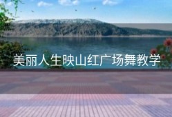 美丽人生映山红广场舞教学