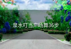 泉水叮当广场舞36步