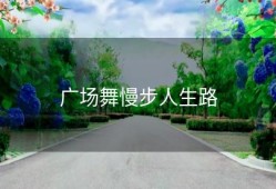 广场舞慢步人生路