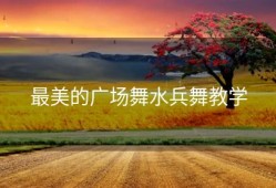 最美的广场舞水兵舞教学