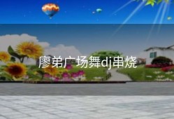 廖弟广场舞dj串烧