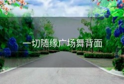 一切随缘广场舞背面