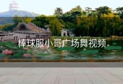 棒球服小哥广场舞视频