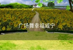 广场舞幸福威宁