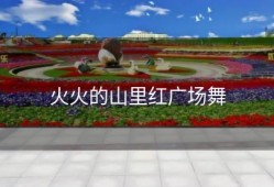 火火的山里红广场舞