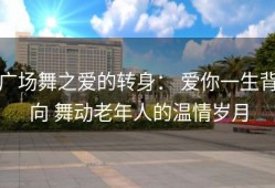 广场舞之爱的转身： 爱你一生背向 舞动老年人的温情岁月