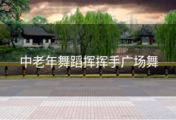 中老年舞蹈挥挥手广场舞