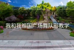 我和我祖国广场舞队形教学