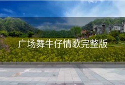 广场舞牛仔情歌完整版