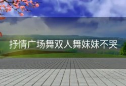 抒情广场舞双人舞妹妹不哭