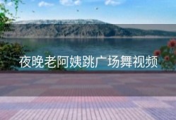 夜晚老阿姨跳广场舞视频