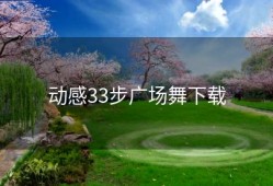 动感33步广场舞下载
