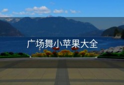 广场舞小苹果大全