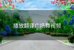 播放翻译广场舞视频