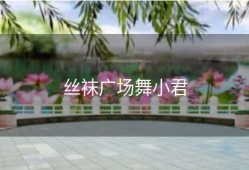 丝袜广场舞小君