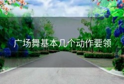 广场舞基本几个动作要领