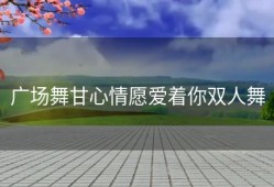 广场舞甘心情愿爱着你双人舞