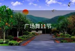 广场舞11节