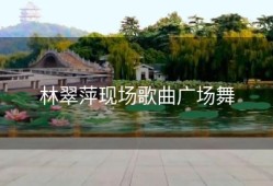 林翠萍现场歌曲广场舞