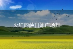 火红的萨日娜广场舞