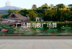 广场舞雨夜广场舞