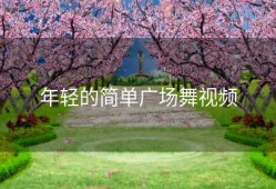 年轻的简单广场舞视频