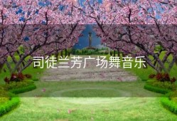 司徒兰芳广场舞音乐