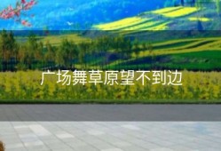 广场舞草原望不到边