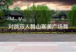 对跳双人舞山寨美广场舞