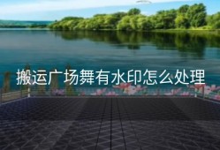 搬运广场舞有水印怎么处理