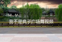 我不是疯子广场舞视频