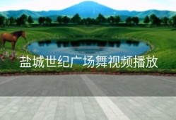 盐城世纪广场舞视频播放