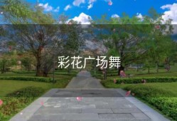 彩花广场舞