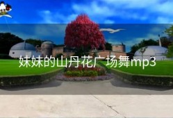 妹妹的山丹花广场舞mp3