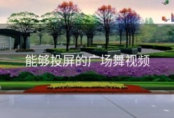 能够投屏的广场舞视频