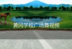 黄冈学校广场舞视频
