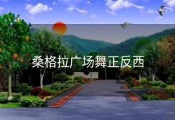 桑格拉广场舞正反西
