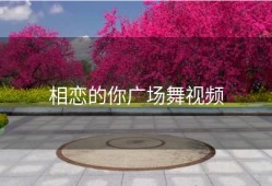 相恋的你广场舞视频