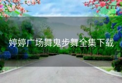 婷婷广场舞鬼步舞全集下载