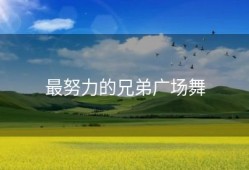 最努力的兄弟广场舞