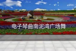 电子琴曲南泥湾广场舞