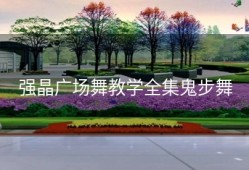 强晶广场舞教学全集鬼步舞